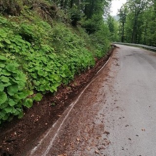 Forte vento fa crollare rami sulla strada del colle del Melogno: cantonieri al lavoro