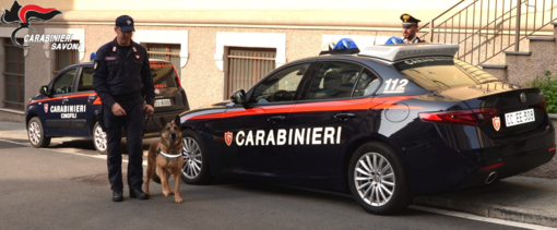 I carabinieri a scuola con l'unità cinofila, sevizio di prevenzione antidroga a Savona (FOTO)