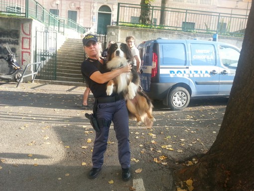 Come i cani possono aiutare le Forze dell'Ordine? Ce lo spiega il Sovrintendente Capo Squadra Cinofili Alessandro Pinotti