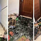 Albisola, cinghiale si intrufola in un condominio e spacca tutto per le scale: &quot;Non si fanno più problemi&quot; (FOTO)