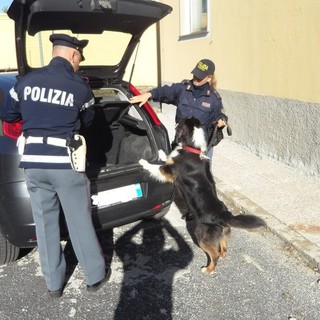 Duro attacco del Coordinamento Antifascista Savona alle forze dell'ordine: &quot;Contro ogni repressione&quot;