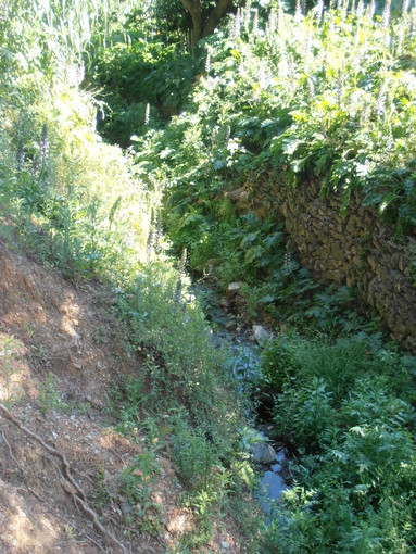 Alassio, gli interventi di pulizia di rii e torrenti proseguono con il rio Castello