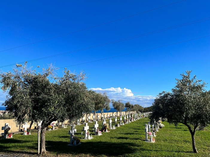 Borghetto, olio in cambio della potatura: anche al cimitero delle Rive è tempo per la raccolta di olive