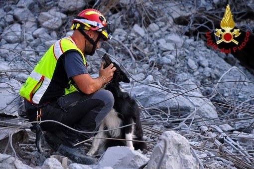 Camogli: consegnati i premi &quot;Fedeltà del Cane&quot; ai cani dei Vigili del Fuoco che hanno operato sul Ponte Morandi