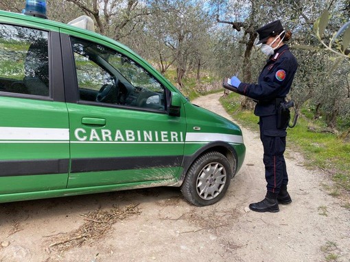 Depositi abusivi di materiali e abbandono di rifiuti: intervento del corpo Forestale dei carabinieri a Pallare