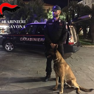 Albenga, controlli antidroga dei Carabinieri: sanzioni per violazione dell’ordinanza sugli alcolici e ritiro di una patente