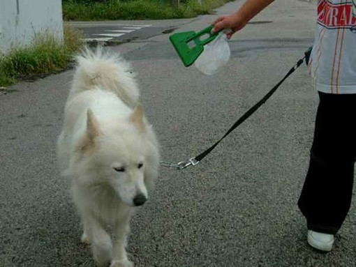 &quot;A Savona i proprietari di animali cittadini di serie B&quot;, lo sfogo di una lettrice