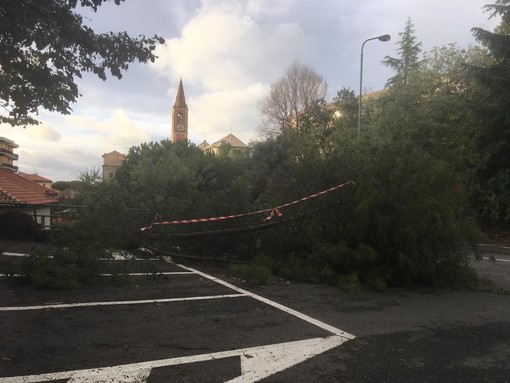 Presentazione campi Estate Liberi a Celle Ligure