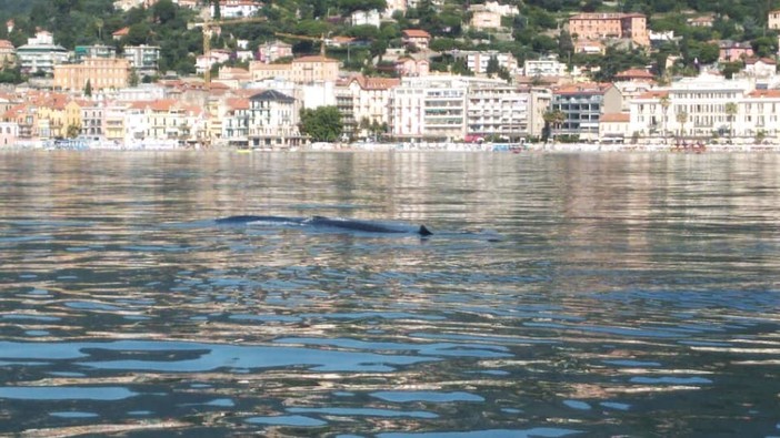 Foto tratta dalla pagina &quot;Menkab: il respiro del mare&quot;