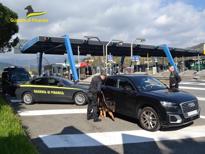 Savona, trovano cocaina e contanti anche grazie al cane Kimo: arrestato dalla Finanza 36enne irregolare (FOTO E VIDEO)