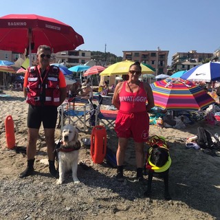 Salvano un turista ucraino in difficoltà in mare:  ad Albissola tempestivi i cani eroi Mokha e Max