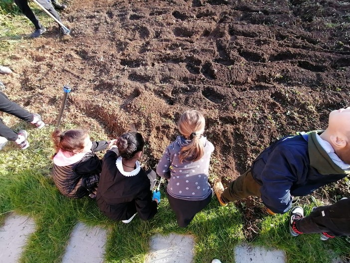 Gli studenti dell’Agrario insegnano la semina agli alunni della scuola di Campochiesa d’Albenga