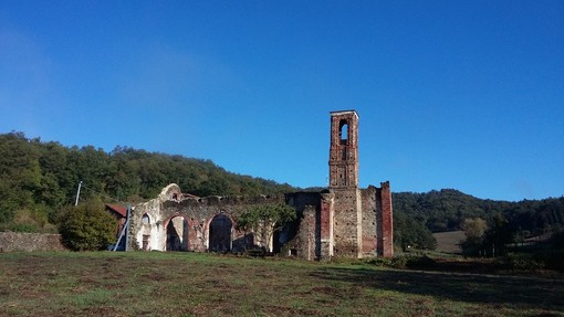 Foto comunicato stampa