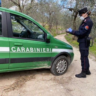 Depositi abusivi di materiali e abbandono di rifiuti: intervento del corpo Forestale dei carabinieri a Pallare