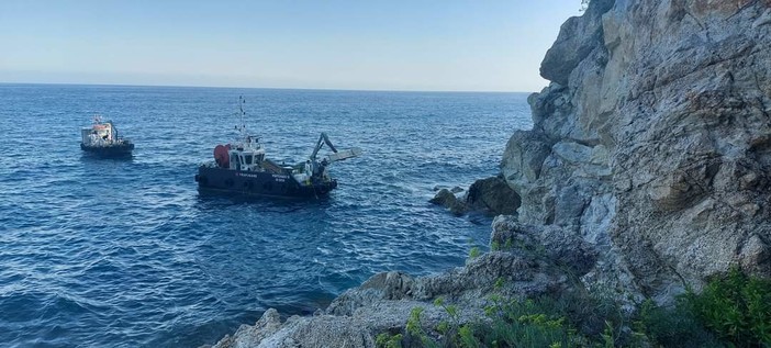 Capodoglio spiaggiato a Varazze, nuova ordinanza del sindaco: divieto di balneazione fino al molo del Nautilus