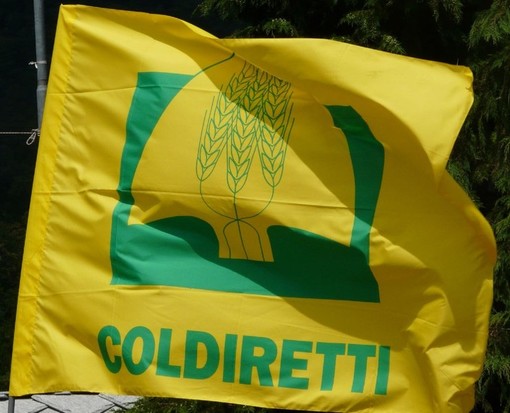 Tutela della filiera agroalimentare e dell'ambiente: accordo tra Carabinieri e Coldiretti