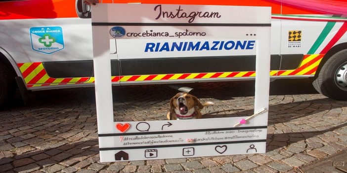 Spotorno, la Croce Bianca piange la scomparsa del cane Ettore: &quot;Ci lascia un gran soccorritore&quot;