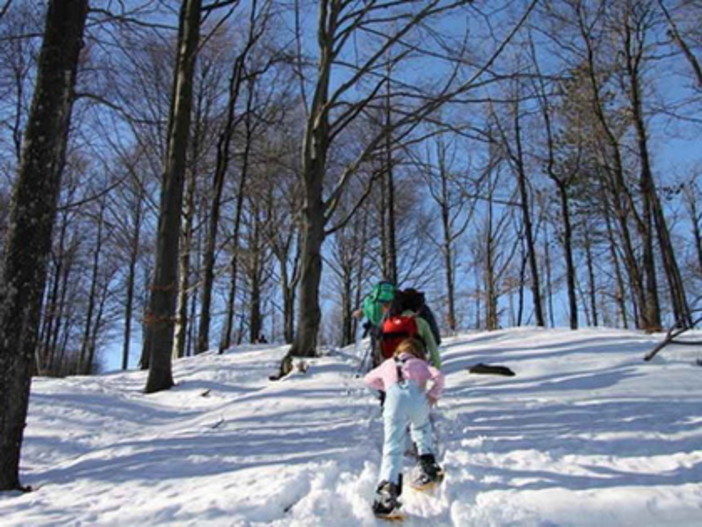 Sul Monte Avzè con le ciaspole. Escursione nel Parco del Beigua