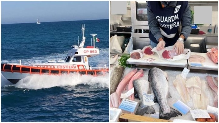 Varazze, pesce azzurro in arbanelle senza etichettatura: sanzionato il titolare del punto vendita