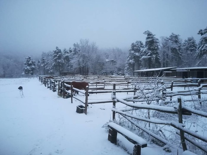 Neve in arrivo: scatta l'allerta gialla in Liguria. Le previsioni di Arpal