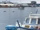 Savona, nuovo avvistamento dei delfini: &quot;la danza&quot; all'interno del porto (VIDEO)