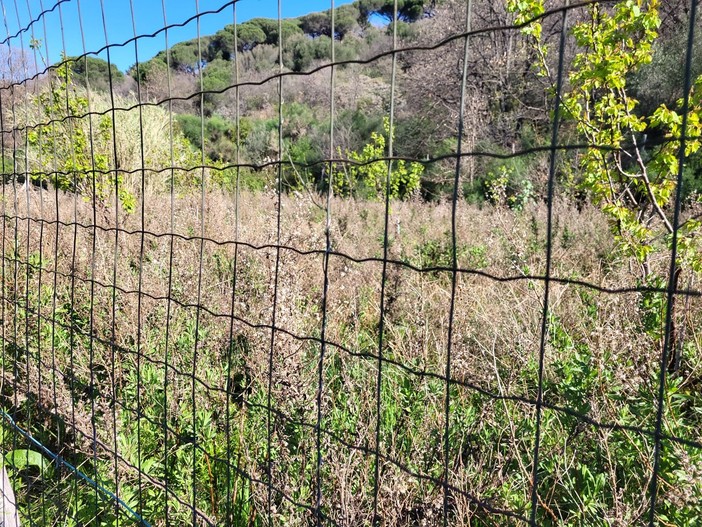 Parco di San Pietro a Quiliano, la minoranza: &quot;Situazione a dir poco imbarazzante per stato di abbandono incuria e degrado&quot; (FOTO)