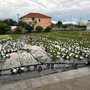 Alluvione, firmata la declaratoria per il sostegno alle aziende agricole di Albenga e Ceriale