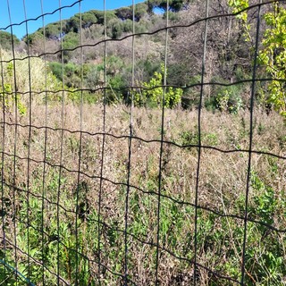 Parco di San Pietro a Quiliano, la minoranza: &quot;Situazione a dir poco imbarazzante per stato di abbandono incuria e degrado&quot; (FOTO)