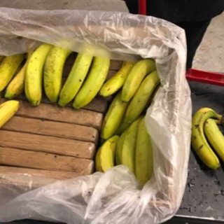 24 kg di cocaina nel container delle banane: maxi sequestro nel porto di Vado Ligure