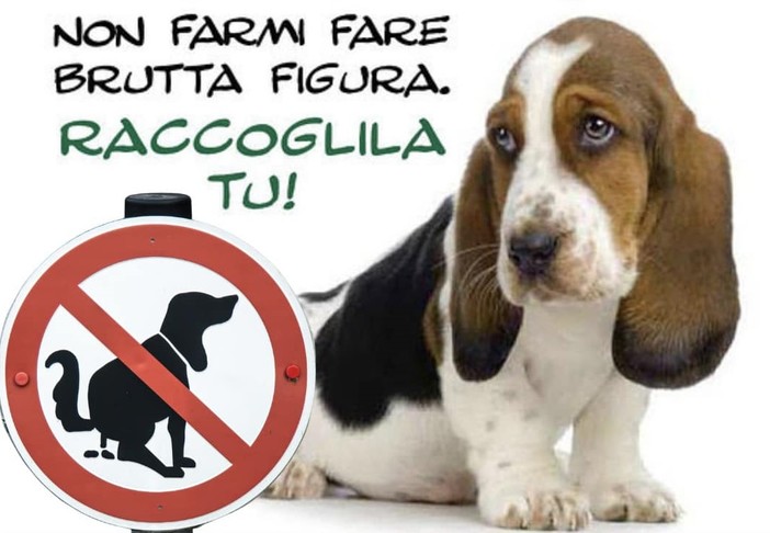 Deiezioni canine, campagna di sensibilizzazione a Carcare: &quot;Non farmi fare brutta figura. Raccoglila tu!&quot;