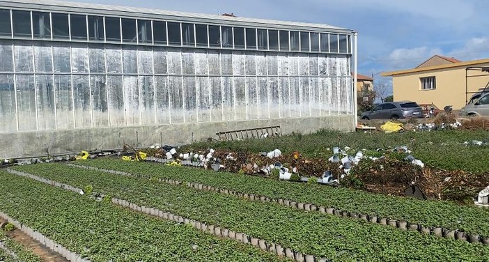 Maltempo ad Albenga, il sindaco Tomatis: &quot;Danni per centinaia di migliaia di euro, la Regione riconosca lo stato di calamità naturale&quot;