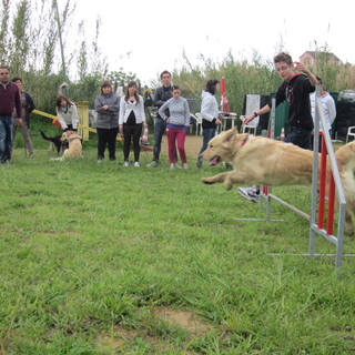 Celle Ligure: il primo corso per Dog Sitter