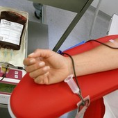 Carenza di sangue Rh negativo, l'appello a donare dell'Avis provinciale