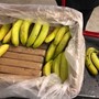 24 kg di cocaina nel container delle banane: maxi sequestro nel porto di Vado Ligure