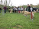 Celle Ligure: il primo corso per Dog Sitter