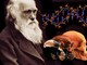 Ceriale, Darwin Day al Museo Paleontologico Silvio Lai