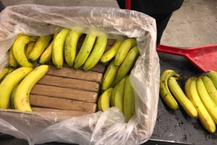 24 kg di cocaina nel container delle banane: maxi sequestro nel porto di Vado Ligure