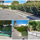 Savona, al Prolungamento panchine dei giardini vandalizzate e sedute della passeggiata in degrado