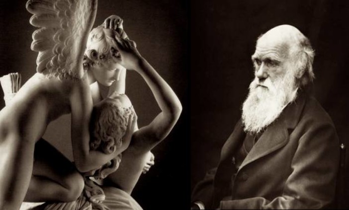 Savona: &quot;Darwin e la selezione sessuale&quot; alla libreria Ubik