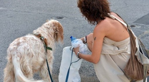 Pieve di Teco, lotta al degrado: obbligo di bottiglietta d'acqua per i padroni dei cani, scatta l'ordinanza del sindaco Alessandri