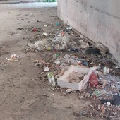 Savona, i residenti della case popolari di via Milano lanciano l'allarme: &quot;Ci fanno vivere nello sporco, condizione igienico-sanitaria a livello di guardia&quot; (FOTO e VIDEO)