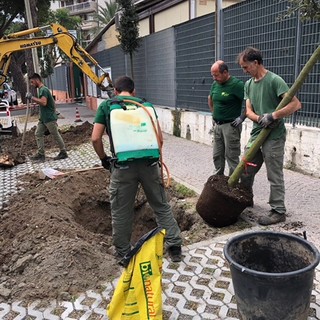 Albenga, terminati i lavori di messa in sicurezza di via Einaudi