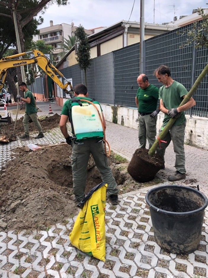 Albenga, terminati i lavori di messa in sicurezza di via Einaudi