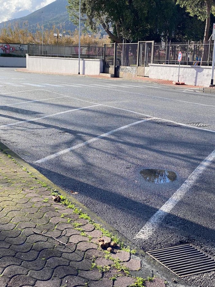 Albenga: escrementi persino sulle panchine del lungomare (il VIDEO)