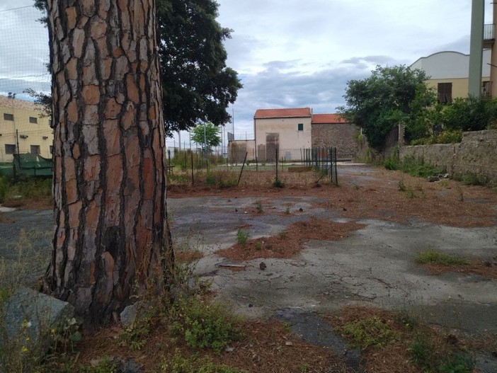 Savona, sei cinghiali abbattuti in via Nizza nel cortile dell'ex asilo Il Paguro