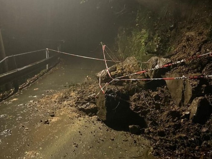 Maltempo in Liguria, frane e smottamenti: un albero caduto a Stella in località Verne