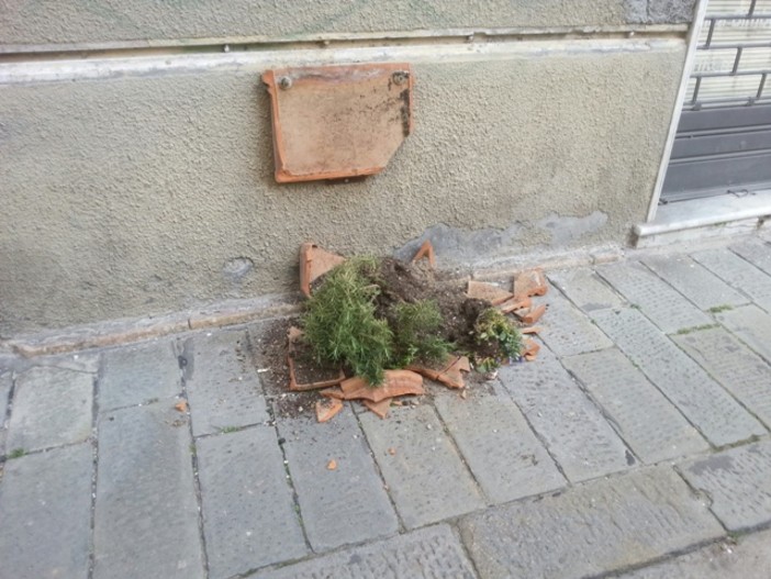 Vandali in azione a Finale Ligure, distrutte fioriere in via Ghiglieri