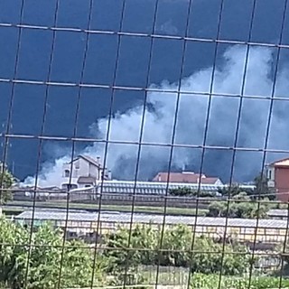 Falò nei campi ad Albenga, la lamentela di alcuni cittadini: &quot;In alcune giornate siamo costretti a tenere le finestre chiuse&quot;