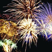 Savona, il 29 luglio i fuochi artificiali. Gli animalisti alla giunta: “Ripensateci, dannosi per gli animali”