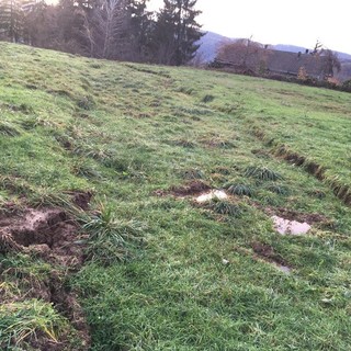 Cengio, frana in località Rocchetta: il comune chiede l'intervento di un geologo della Regione